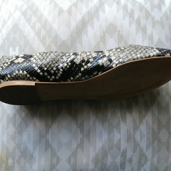 Sam Edelman Augusta Scalloped Snake, Ballet Flats. - Picture 3 of 3